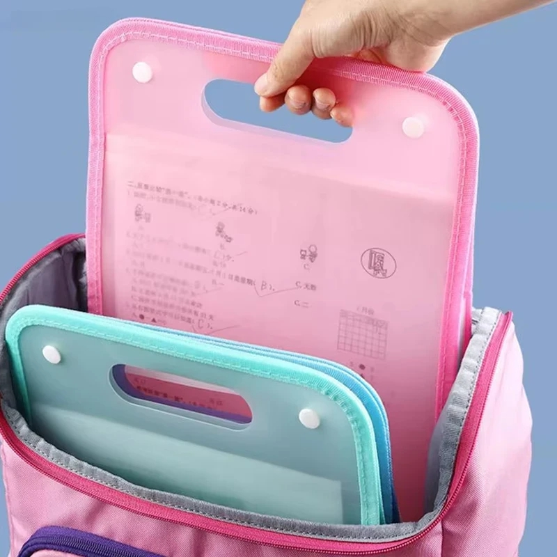 13-Pocket A4 Accordion File Or - Expandable Accordion File Folder 13 Pockets ulasan dan harga